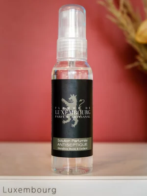 Solutions Hydroalcooliques Antiseptiques 3x100ml
